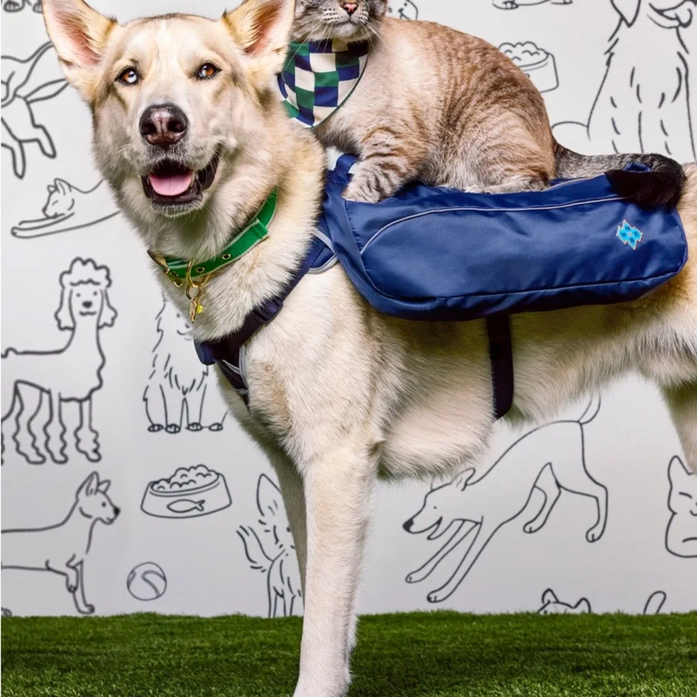 The Cuddle Collab Dog Harness Backpack